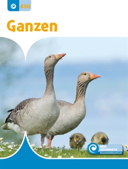 Ganzen