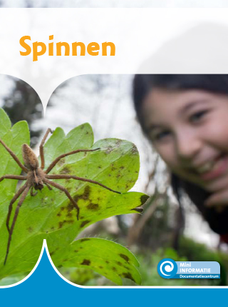 Spinnen Mini Informatie