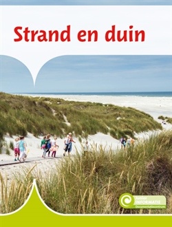 Strand en duin