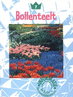 Bollenteelt