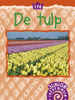 De tulp