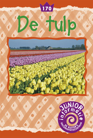 De tulp