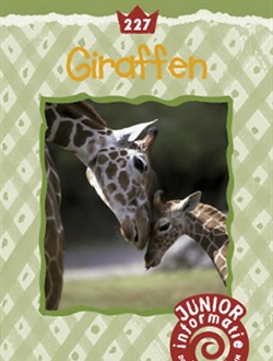 Giraffen