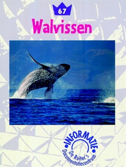 Walvissen