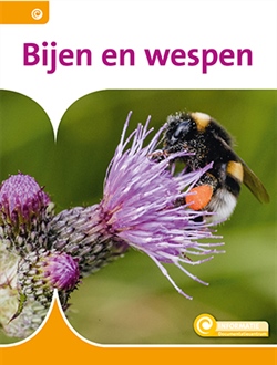 Bijen en wespen