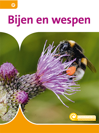 Bijen en wespen